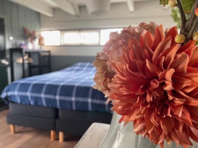 Holiday Cottage De Garage Inn Hank Ngoại thất bức ảnh